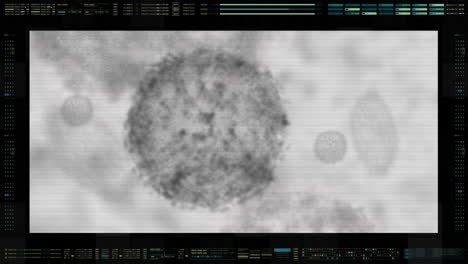 Advance-head-up-display-of-electron-microscope-scanning-airborne-virus-outbreak-showing-the-anatomy-of-the-virus-in-close-up-details