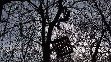 A-silhouette-of-an-environmental-protestor-using-ropes-to-secure-himself-and-a-wooden-pallet-up-a-tree-during-direct-action-designed-to-disrupt-the-HS2-train-line-construction