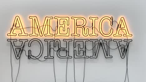 „double-America-2“-Ist-Eine-Geschichte-über-Zwei-Länder-In-Glenn-Ligons-Metaphorischer-Interpretation-Der-Heutigen-Amerikanischen-Politik
