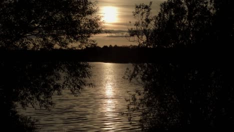 Sun-setting-over-lake-through-woodland-in-gentle-breeze
