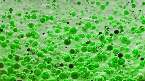 Makroaufnahme-Grüner-Und-Schwarzer-Blasen,-Die-Sich-Langsam-Im-Wasser-Mit-Hellem-Hintergrund-Bewegen