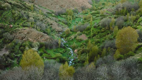 River-flows-in-green-fertile-valley-in-High-Atlas-mountains,-Morocco,-aerial