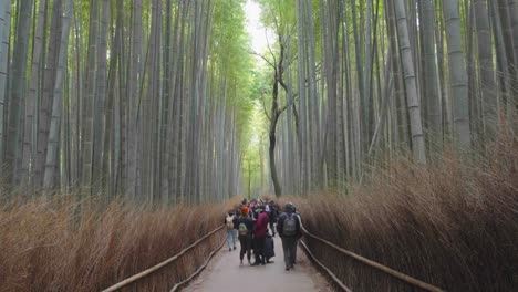 Crowds-of-tourists-visiting-the-Arashiyama-Bamboo-Forest-in-Kyoto,-Japan