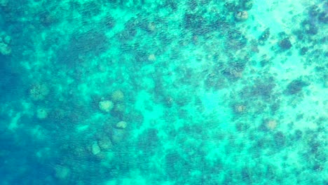 Beautiful-sea-texture-with-colorful-pattern-of-coral-reefs-under-calm-clear-water-of-shallow-turquoise-lagoon,-Bermuda