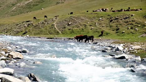 Fließende-Flüsse-Im-Tal-Von-Kirgisistan