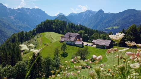 Berglandschaft,-Die-Alpen-In-Slowenien-Mit-Bauernhof-Und-Blühenden-Wiesen,-Solcava-Panoramastraße