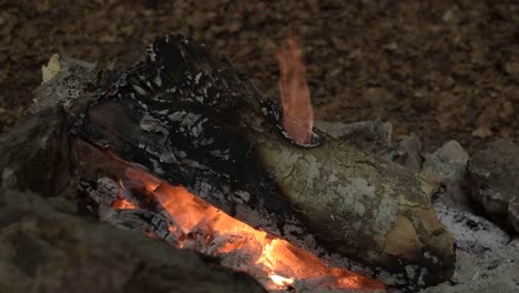 Outdoor-campfire-during-the-ITalian-summer-celebration-of-Ferragosto