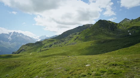 Drone-flight-over-swiss-alpine-meadows-in-summer-4k