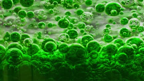 Macro-shot-of-green-bubbles-slowly-falling-to-ground-in-water