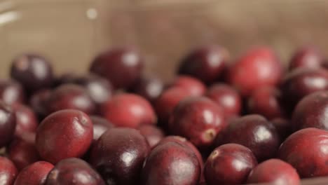 Fresh-ripe-cranberries-panning-shot-macro