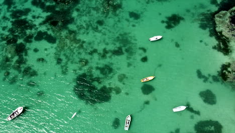 Epic-aerial-top-down-shot-showing-anchored-boats-on-crystal-clear-water-with-coral-reefs-underwater