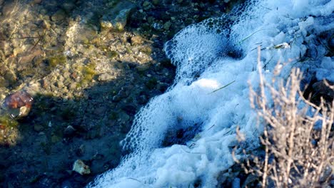 Closeup-of-pollution-in-a-river-bed
