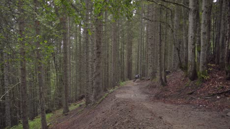 Mountain-biker-riding-fast-down-a-trail-in-the-forest-under-the-rain