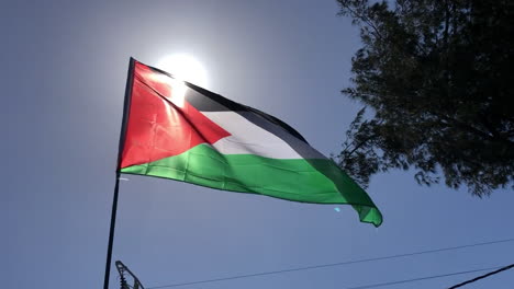 Handheld-Nahaufnahme-Der-Nationalflagge-Palästinas,-Die-Im-Wind-Weht