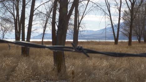Private-property-fenced-in-by-barbed-wire-out-of-focus-in-the-foreground-with-trees,-lake-and-mountains-in-the-forbidden-background