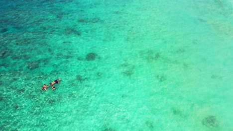 Familie-Schwimmt-Im-Kristallklaren-Wasser-Der-Türkisfarbenen-Lagune-Mit-Felsen-Unter-Wasser-Und-Sucht-Nach-Seesternen-Und-Wunderschönen-Korallen-In-Der-Karibik