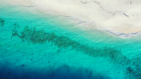 Aerial-of-beautiful-blue-ocean-waves-crashing-against-the-shore-of-a-tropical-beach-paradise