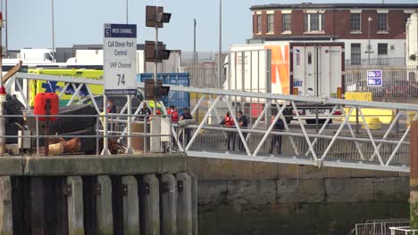 Grenzschutzbeamte-Inspizieren-Neu-Ankommende-Migranten-Im-Hafen-Von-Dover,-Großbritannien