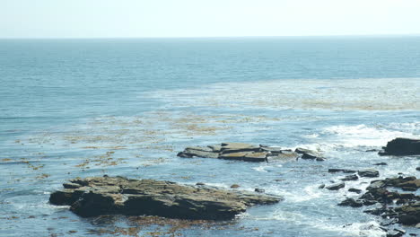 Mareas-Tranquilas-Que-Fluyen-Hacia-Las-Pozas-De-Marea-Rocosas-Del-Bosque-De-Algas-Marinas