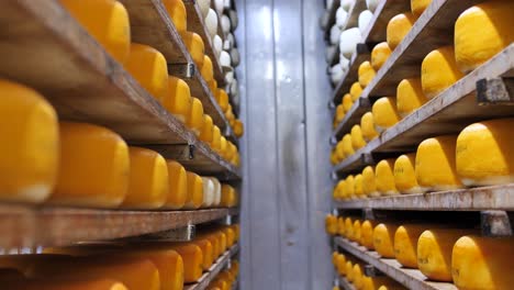 Cellar-shelving-with-maturing-hard-cheese,-food-processing,-in-storage-room