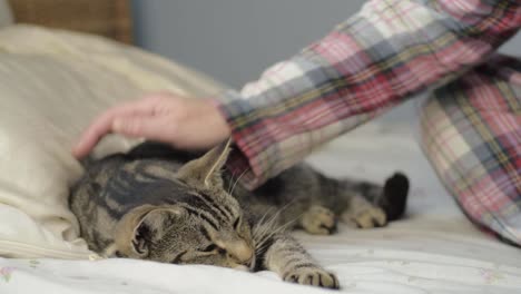 Woman-in-pyjamas-pets-young-tabby-cat-on-bed