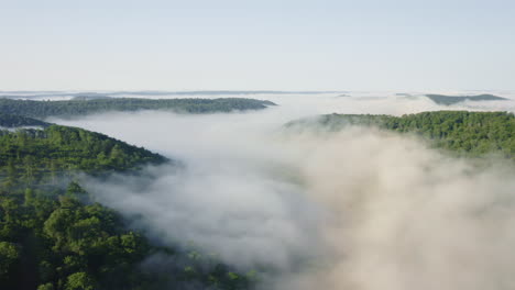 Aerial-drone-flying-forward-through-green-summer-forest-as-warm,-white-morning-fog-flows-through-the-valley-below-in-Pennsylvania