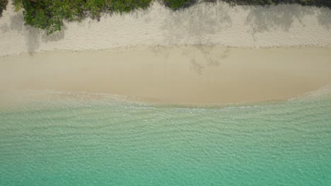 Beautiful-Waves-Splashing-Gently-Onto-The-Shore-Of-Fiji-With-White-Sand-And-Trees-On-A-Hot-Sunny-Day---Aerial-Shot
