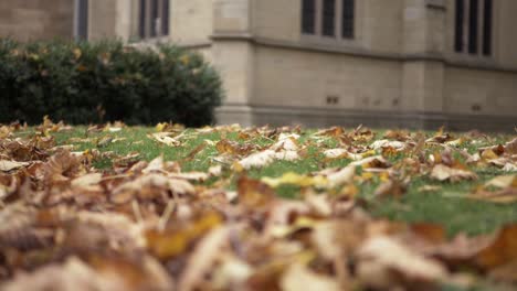 Autumn-leaves-in-churchyard-low-panning-shot