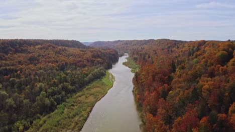 Smooth-flight-over-a-river-surrounded-by-wonderful-autumn-colors-of-treetops-of-a-forest:-Drone-shot-in-4k-from-bavaria,-Germany