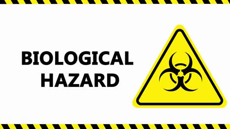 Biological-hazard-logo-and-text-flashing-on-white-background-motion-graphics