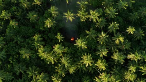 Draufsicht-Auf-Grüne-Kokospalmen-Auf-Einer-Insel-In-Fidschi-Mit-Lagerfeuer-In-Der-Mitte---Luftaufnahme