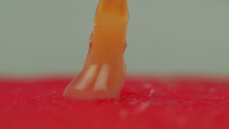 Extreme-close-up-studio-shot-of-wax-melting-down-wick-into-red-candle-wax