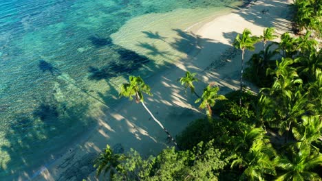 Fidschis-Perfekte-Weiße-Strände-Mit-Kokospalmen-Sind-Das-Beste-Urlaubsziel