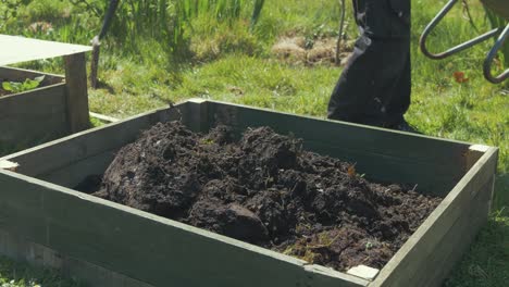 Filling-raised-garden-bed-with-soil-from-wheelbarrow