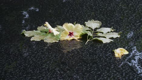Schwarzer-Glastisch-Draußen-Mit-Regennasser-Blumendekoration,-Statische-Aufnahme