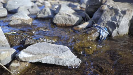 slow-motion-close-up-of-water-flowing-over-rocks