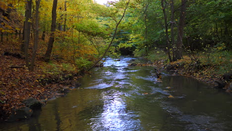 river-through-the-autumn-forest