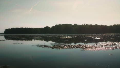 Clumps-of-algae-on-surface-of-lake-during-sunset