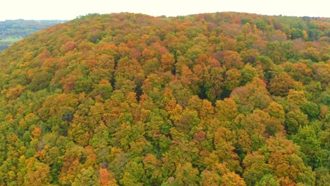 Aerial-Drone-shot-of-vibrant-autumn-colours-4K