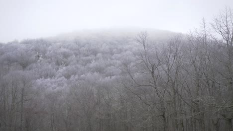 Schneebedeckte-Bäume-Berggipfel-Nebel-Zeitlupe-Handgehalten