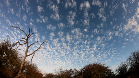 Lapso-De-Tiempo-De-Las-Nubes-Sobre-La-Sabana-Arbolada-En-El-Sur-De-África