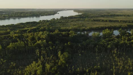 Tilt-up-revealing-Zarate-large-green-fields-and-forest-area-and-Parana-river-at-golden-hour,-Entre-Rios,-Argentina