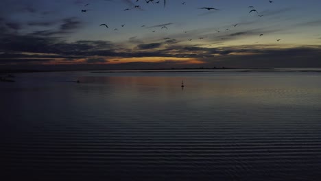 Vögel-Schweben-Während-Des-Himmlischen-Sonnenuntergangs-Vor-Der-Südküste-Portugals-Mit-Drohne-über-Dem-Erstaunlich-Reflektierenden,-Ruhigen-Ozean,-Aus-Der-Luft