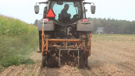 Grubbing-machine-behind-a-tractor-picking-onions-from-the-soil-laying-the-crop-in-a-line-ready-and-easy-to-be-harvested