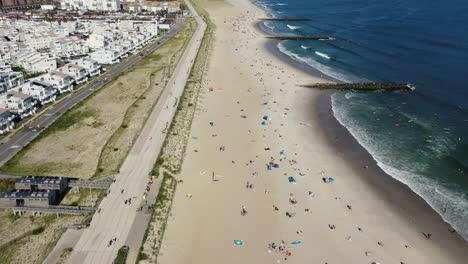 An-aerial-view-of-a-beach-during-a-sunny-day