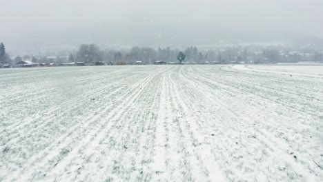 forward-flight-over-field-towards-a-tree-and-summer-gardens-covered-in-snow-from-the-blizzard