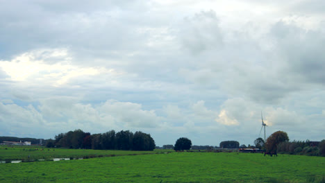 Time-lapse-shot-of-rural-dutch-landscape-with-horses-on-meadow,stream-and-moving-cloudscape