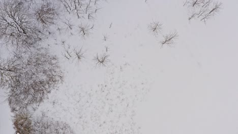 Drohnenaufnahme-Einer-Weißen-Winterlandschaft-Mit-Blick-Auf-Die-Verschneiten-Alpen-Im-Hintergrund-An-Einem-Bewölkten-Wintertag