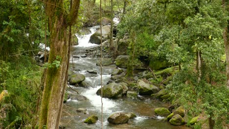 View-Looking-Upstream-On-Flowing-River-In-Forest-In-Costa-Rica