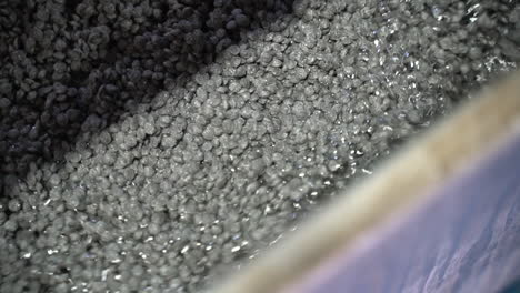 close-up-shot-of-grey-recycled-plastic-pellets-in-water-on-a-conveyor-in-a-recycling-plant